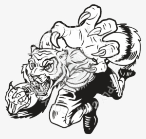 Playing Football - Black And White Tigers Football #2495373