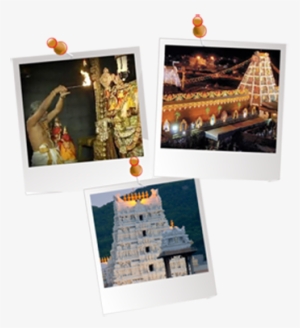 Tirumala Venkateswara, Tirupati - Tirumala Venkateswara Temple #2496413