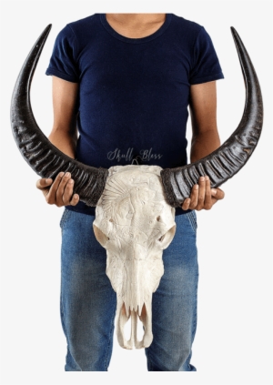 Carved Buffalo Skull - Skull #2498569