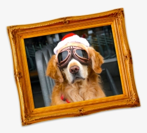 Huge Spect Icon - App Store #2499107