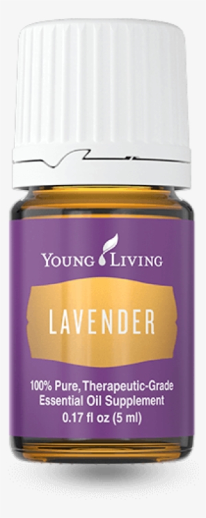Youngliving Reviews - Lavender Young Living Transparent #250199