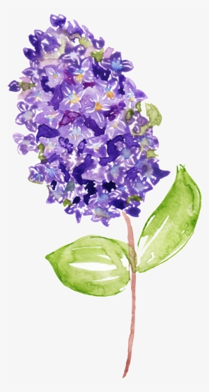 Purple Flower Branch Decoration Vector About Flowers,green - Lilac #250969