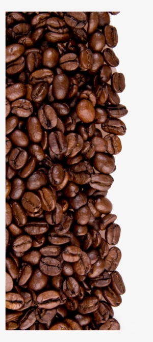 Coffee Beans Png Image - Coffee Beans Border Png #251478