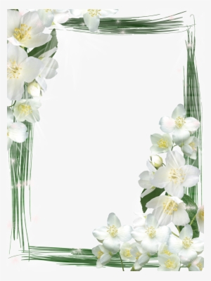 White Frame Png #251887