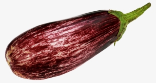 Free Png Purple Eggplant Png Images Transparent - Brinjal Png #252251