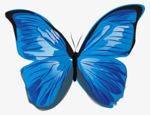 Blue Butterflies Png - Blue Butterfly Clipart Png #252535