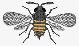 This Free Icons Png Design Of Very Detailed Bee #252632