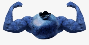 Blueberry Flexing Image - Jpeg #253168