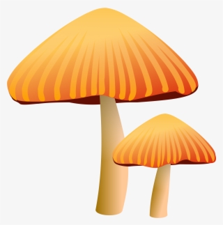 How To Set Use Orange Mushroom Clipart #253323
