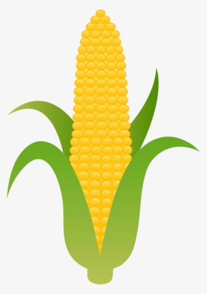 Sweet Corn Drawing At - Corn Clipart #253862
