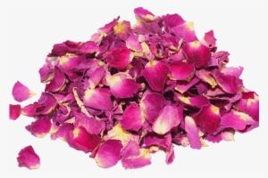 Petalos De Rosas Rosas Png #254230