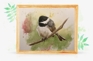 My Style - Black Capped Chickadee #254276