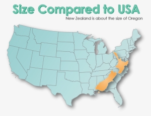 New Zealand Size Vs Usa #254421