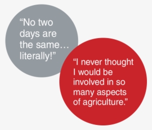 On Any Given Day, You May - Smokers Skin #254756