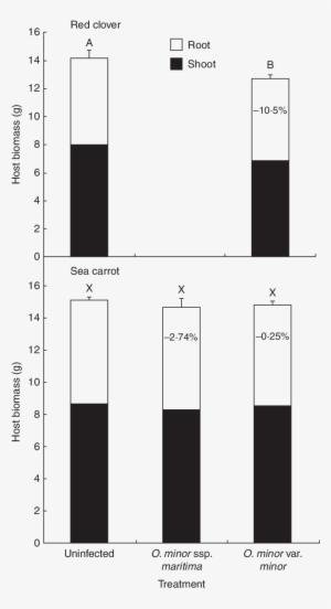 Mean Host Biomass From Pot-cultivated Red Clovers And - Pattern #255201