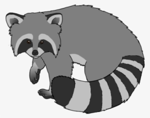 Now I Think The Red Panda And Tanuki Go Especially - Cartoon Racconpng #255230