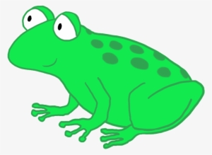 Funny Cartoon Frog Drawing, Funny And Cute Cartoon - Frog Png Cartoon #255753