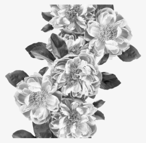 Png Flowers - Portable Network Graphics #255960