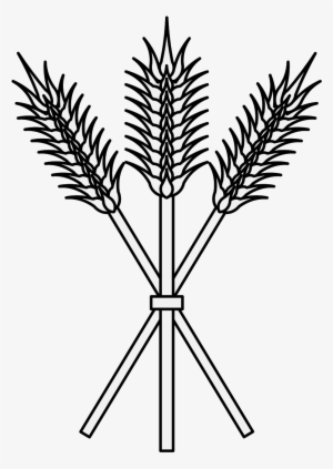 Details, Png - Drawing #256255