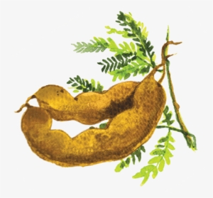 Mama Sita's Sinigang Sa Sampalok Mix - Illustration #256438