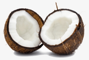 Coconut Duo - Coconut Breaking In Temple #256513