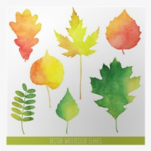 Fall Leaves Water Color #257044