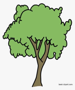 Free Big Tree Png Clipart Image - Portable Network Graphics #257576