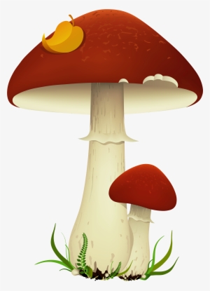 Mushroom Clipart No Background #257947