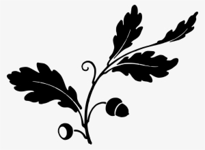 Graphic Library Clipart Leaf And Acorns Big Image Png - Oak Leaf Silhouette #258260