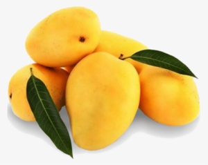 Mango Free Png Image - Fresh Mango #258589