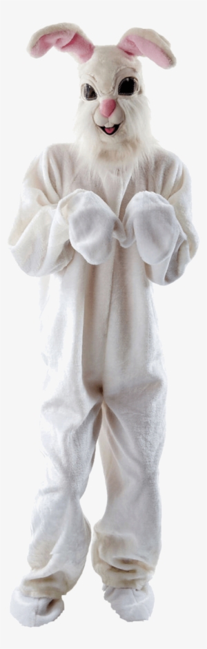 Easter Bunny Costume Png - Fluffy Easter Bunny Costume #258608