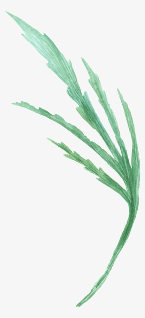 Green Foliage Transparent Decorative - Portable Network Graphics #258727