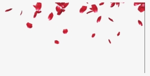 Rose Petals Png Pic - Rose Petals Png #258896