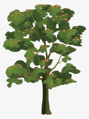 Ian Symbol Spathodea Campanulata - Tulip Tree Clip Art #259090