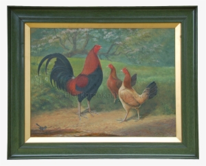 More Views - Rooster #259269