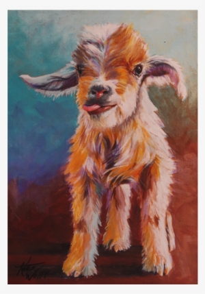 Yuba Blue And White - Goat #259479 Yuba Blue And White - Goat #259479