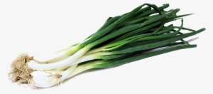 Green Onion Png Image - Green Onion Png #259622