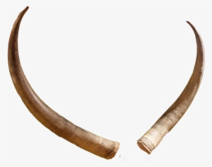 Hd Animal Horn Png Svg Royalty Free Library - Horns Png #259756