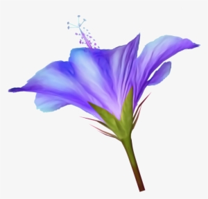 Eflatun Renkli Çiçekler,leylak Çiçekleri,mor Zambak - Eflatun Renkli Çiçekler #2500115