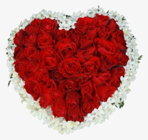 Heart Shape With 80 Red Roses - Floribunda #2500547
