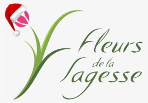 Flowers - Fleurs De La Sagesse #2500743