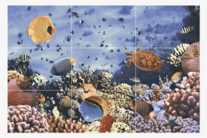 Under Water - St. Thomas, U.s. Virgin Islands - Underwater Coral #2502340