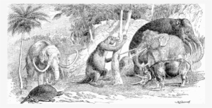 Cenozoic Cosmo 1894 Beard 1913 - Era Cenozoico #2503026