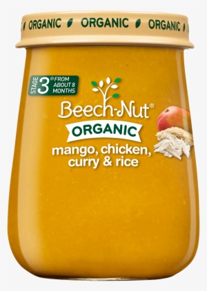 Organic Mango, Chicken, Curry & Rice Jar - Beech Nut Stage 3 Baby Foods #2503653
