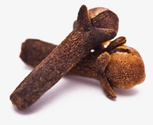 Clove Essential Oil - Clove Png #2504041