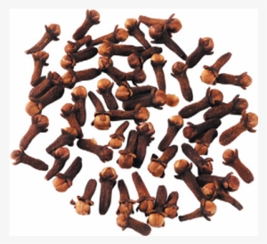 Cloves - Cloves Transparent #2504134