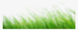 Picsart Cb Editing - Cb Edits Grass Png #2505286