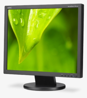 19” Value Led-backlit Desktop Monitor W/ Ips Panel #2505321