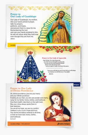 Marian Devotion - Our Lady Of Divine Providence Laminated Holy Card - #2506005