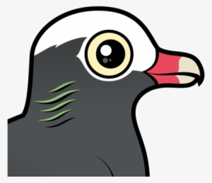 About The White-crowned Pigeon - Notepad++ #2506626